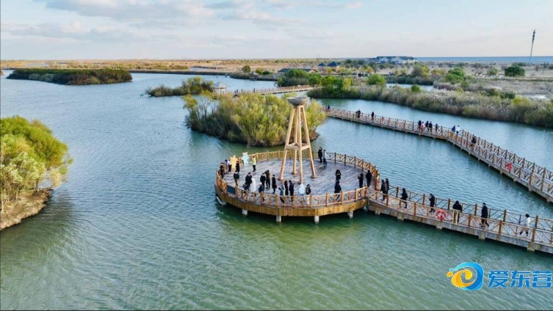 盟平均水准 盟平均水准