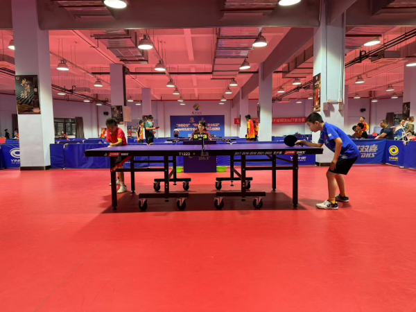 职业联赛 职业联赛