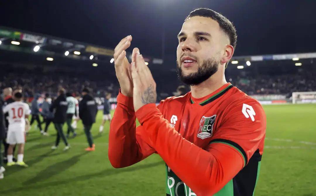 明星球员的 明星球员的