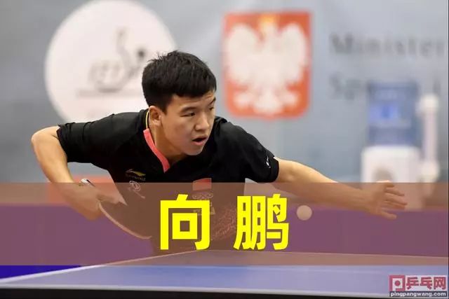 走向和结果 走向和结果