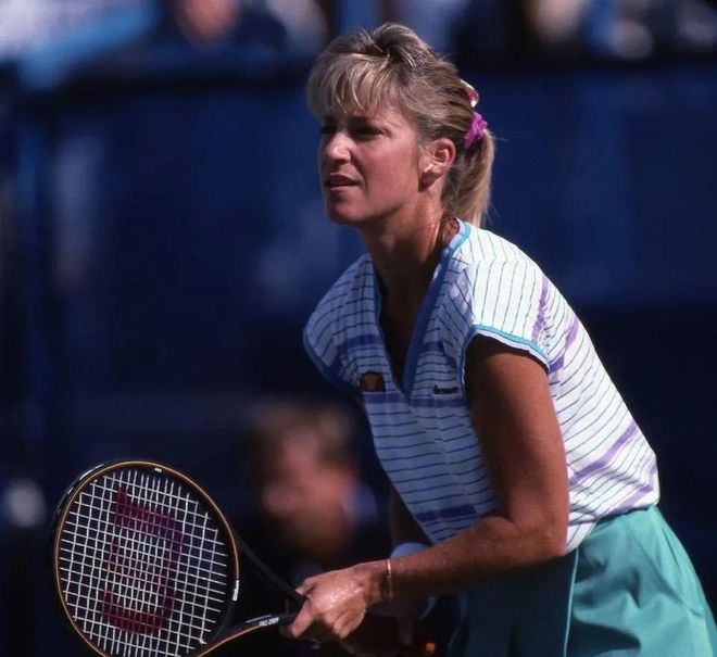 区提供了可 区提供了可