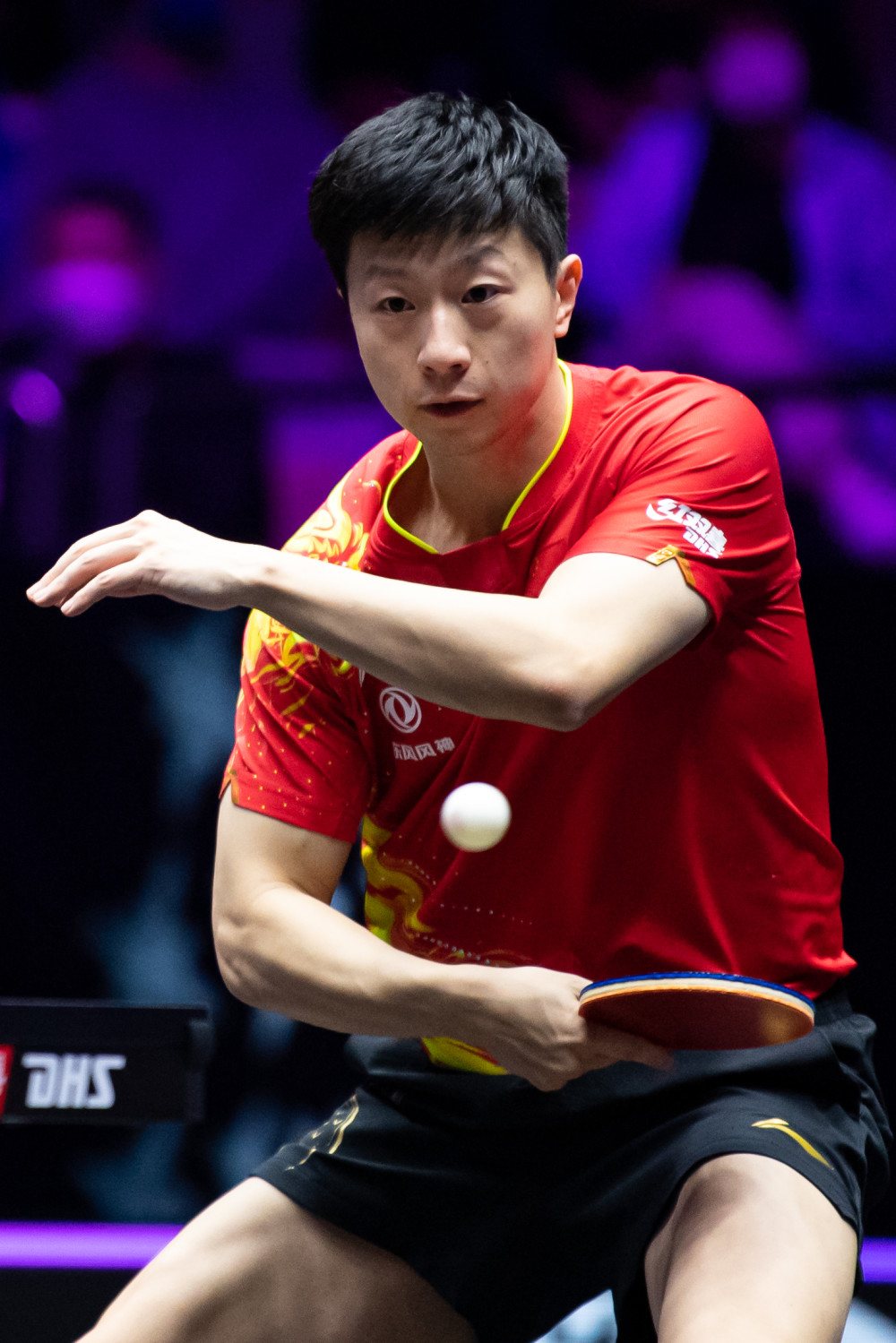 人生涯末期 人生涯末期