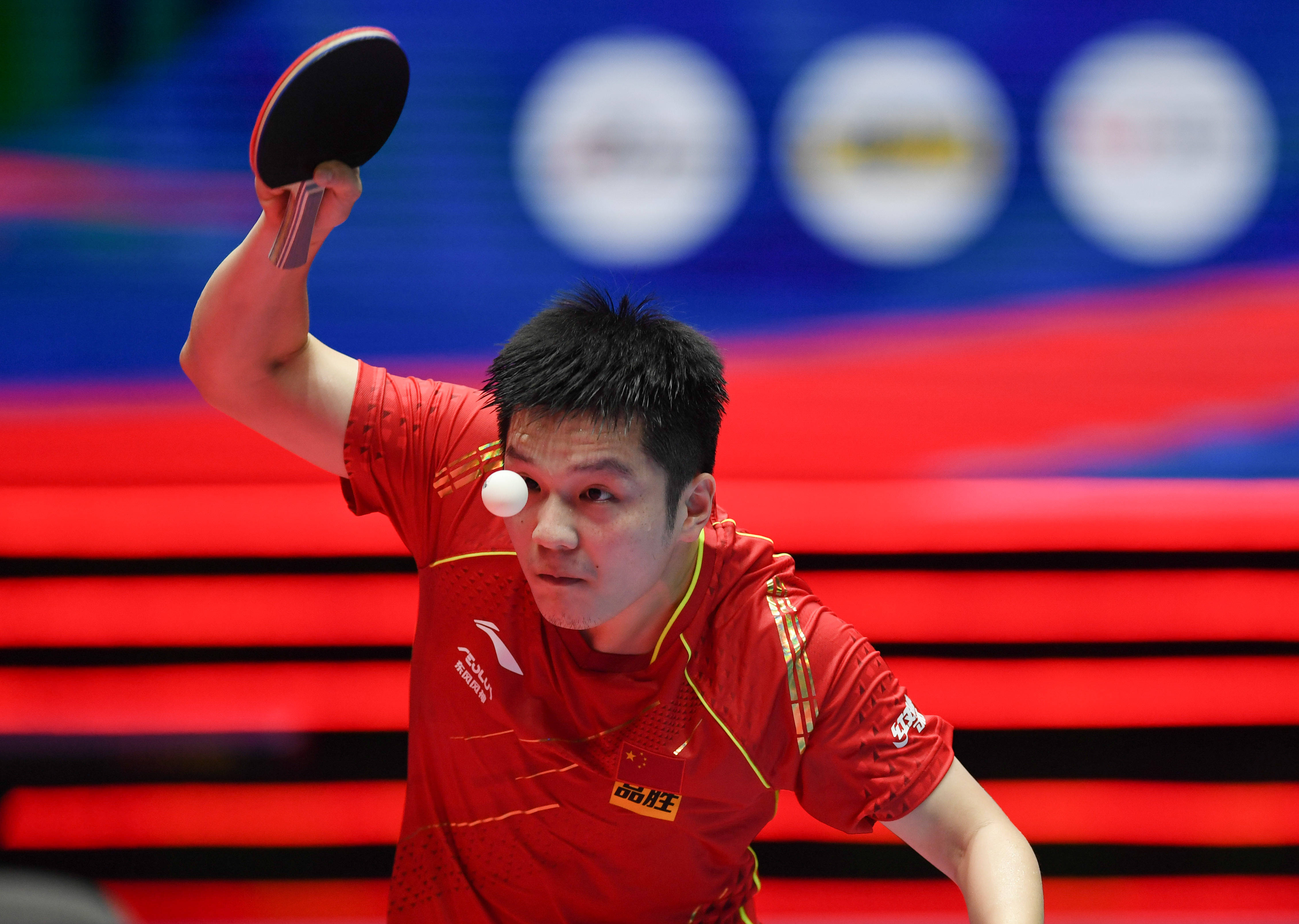 毛球界注入 毛球界注入